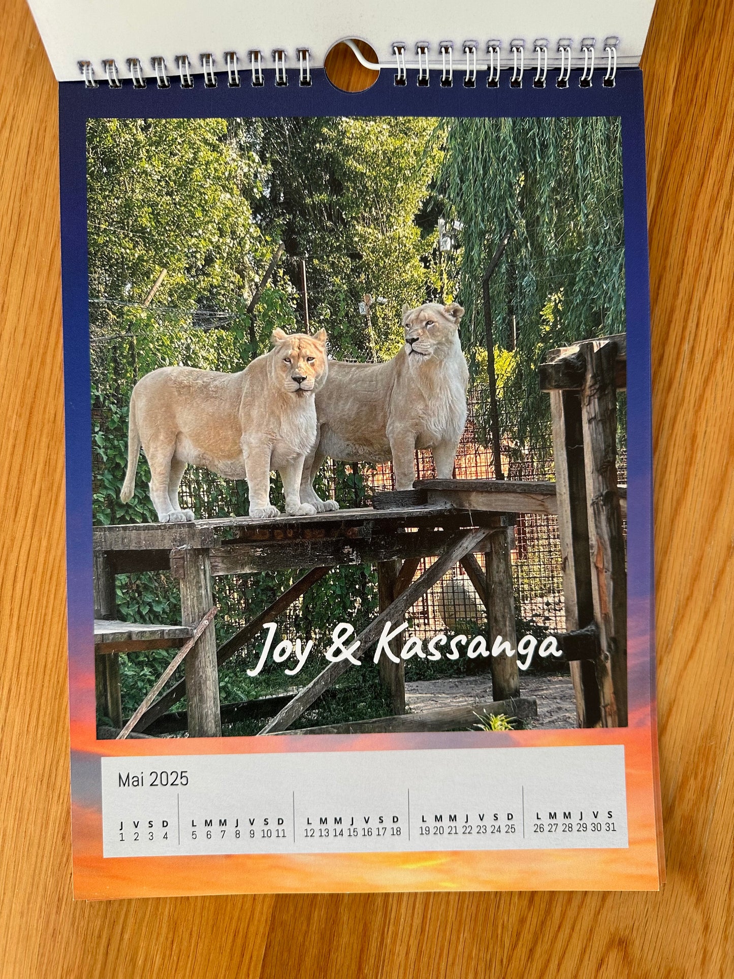 Calendrier 2025 Caresse de Tigre
