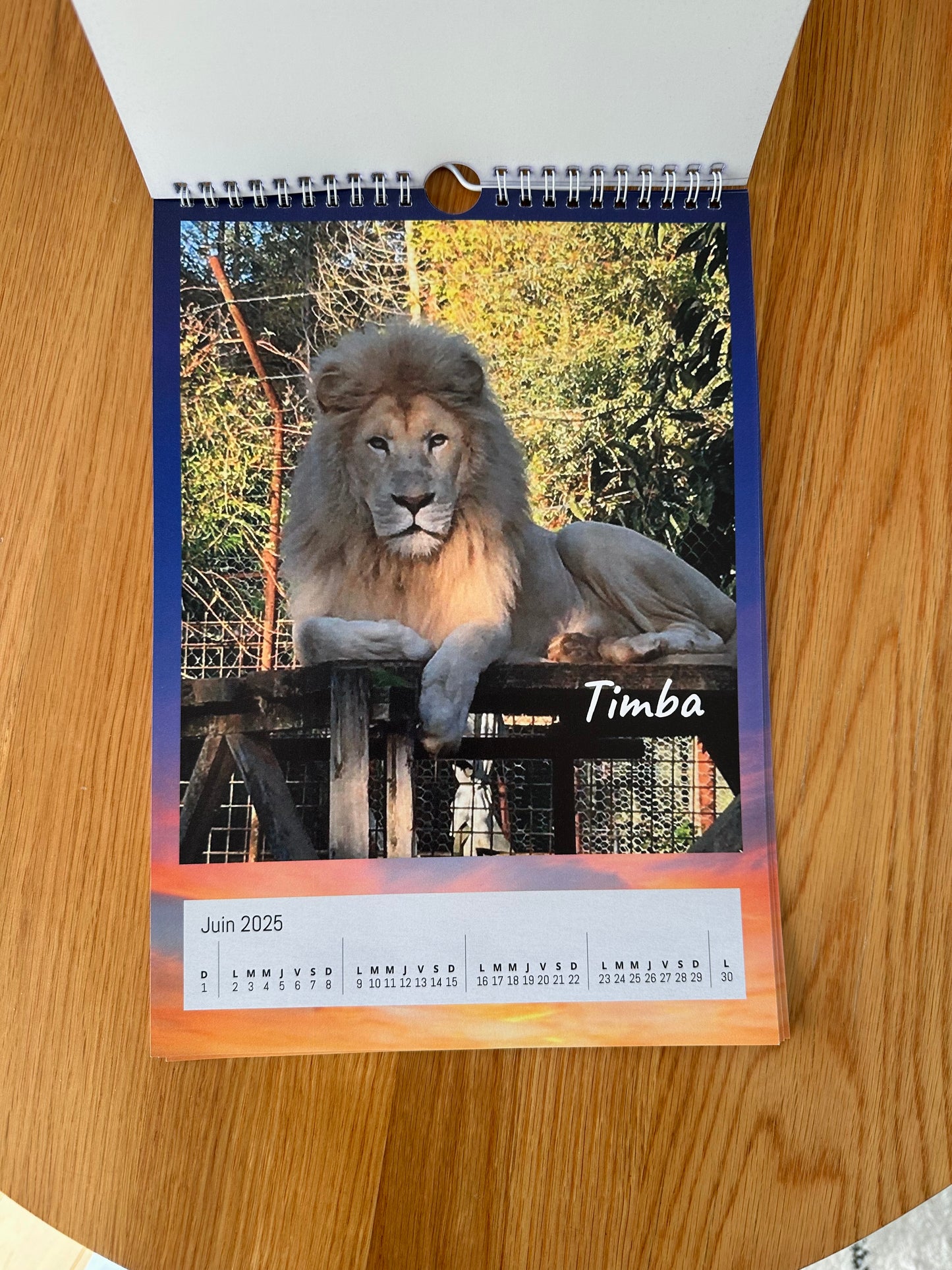 Calendrier 2025 Caresse de Tigre