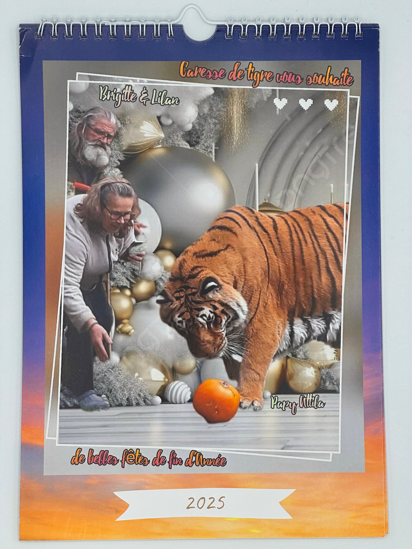 Calendrier 2025 Caresse de Tigre