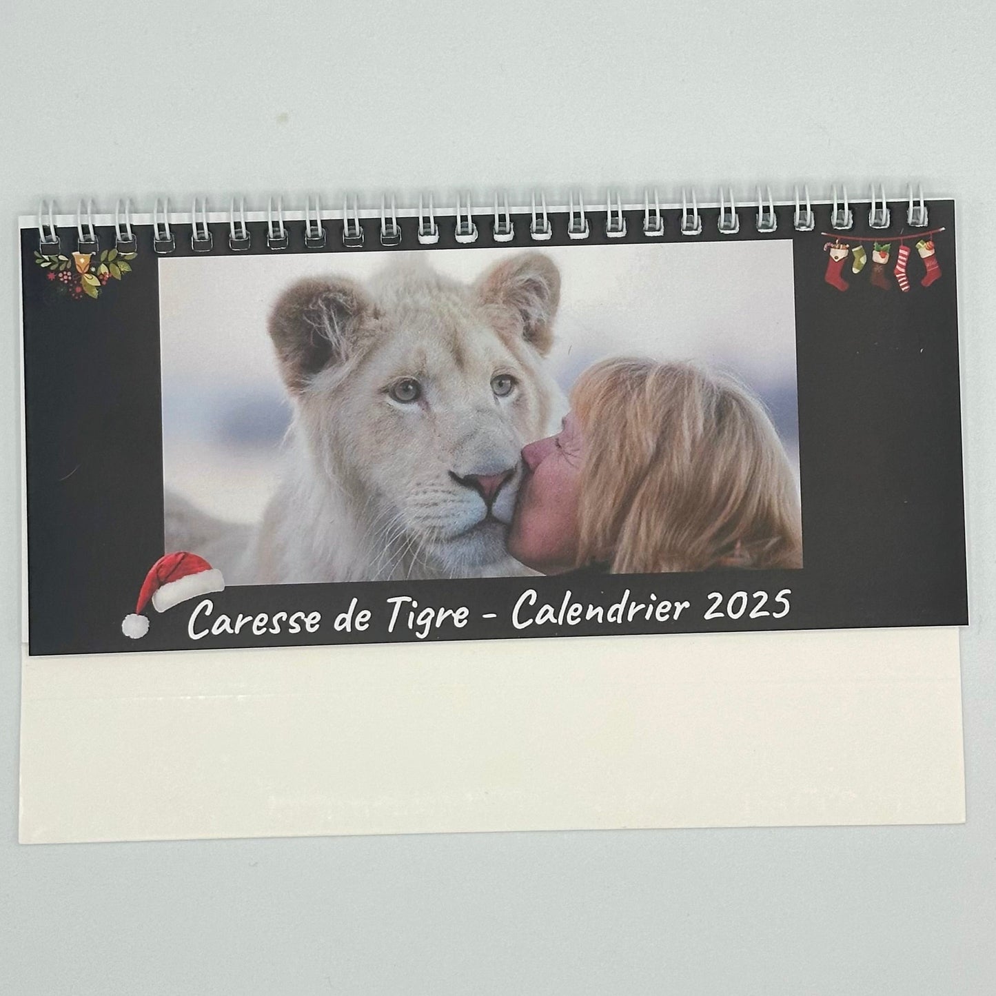 Calendrier de bureau 2025 - Caresse de Tigre